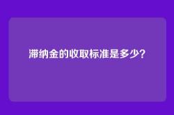 滞纳金的收取标准是多少？