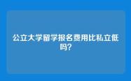公立大学留学报名费用比私立低吗？