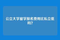 公立大学留学报名费用比私立低吗？