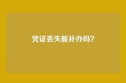 凭证丢失能补办吗？