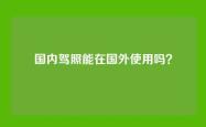 国内驾照能在国外使用吗？