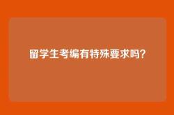 留学生考编有特殊要求吗？