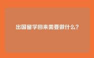 出国留学回来需要做什么？