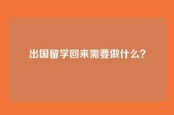 出国留学回来需要做什么？