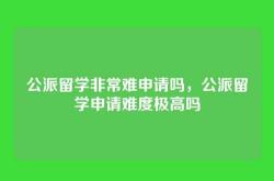 公派留学非常难申请吗，公派留学申请难度极高吗