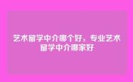 艺术留学中介哪个好，专业艺术留学中介哪家好