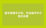 留学需要中介吗，专业留学中介是否必要
