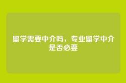 留学需要中介吗，专业留学中介是否必要