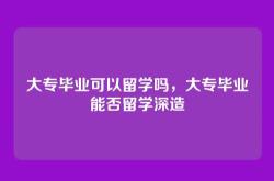 大专毕业可以留学吗，大专毕业能否留学深造