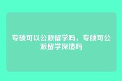 专硕可以公派留学吗，专硕可公派留学深造吗