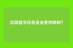 出国留学应急资金使用原则？