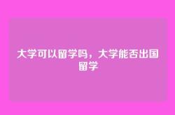 大学可以留学吗，大学能否出国留学