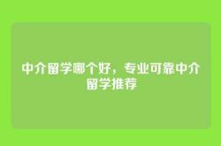 中介留学哪个好，专业可靠中介留学推荐