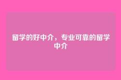 留学的好中介，专业可靠的留学中介