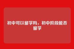 初中可以留学吗，初中阶段能否留学