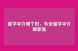 留学中介哪个好，专业留学中介哪家强