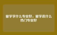 留学学什么专业好，留学选什么热门专业好