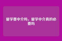 留学要中介吗，留学中介真的必要吗