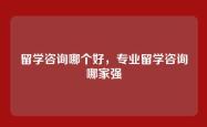 留学咨询哪个好，专业留学咨询哪家强