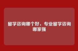 留学咨询哪个好，专业留学咨询哪家强