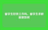 留学生好找工作吗，留学生求职前景如何