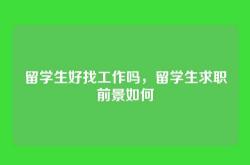 留学生好找工作吗，留学生求职前景如何