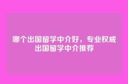 哪个出国留学中介好，专业权威出国留学中介推荐