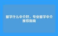留学什么中介好，专业留学中介推荐指南