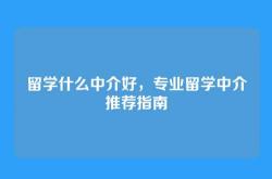留学什么中介好，专业留学中介推荐指南