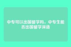 中专可以出国留学吗，中专生能否出国留学深造