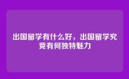 出国留学有什么好，出国留学究竟有何独特魅力