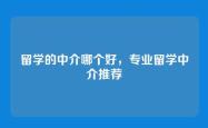 留学的中介哪个好，专业留学中介推荐