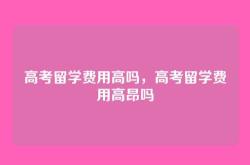 高考留学费用高吗，高考留学费用高昂吗