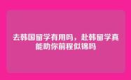 去韩国留学有用吗，赴韩留学真能助你前程似锦吗