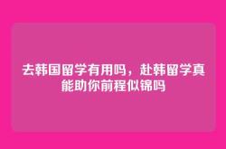 去韩国留学有用吗，赴韩留学真能助你前程似锦吗