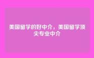 美国留学的好中介，美国留学顶尖专业中介