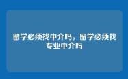 留学必须找中介吗，留学必须找专业中介吗