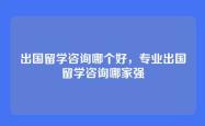 出国留学咨询哪个好，专业出国留学咨询哪家强