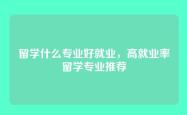 留学什么专业好就业，高就业率留学专业推荐