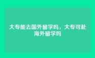 大专能去国外留学吗，大专可赴海外留学吗