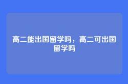 高二能出国留学吗，高二可出国留学吗