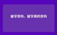 留学苦吗，留学真的苦吗