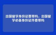 出国留学身份证要带吗，出国留学必备身份证件要带吗