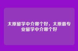 太原留学中介哪个好，太原最专业留学中介哪个好