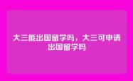 大三能出国留学吗，大三可申请出国留学吗