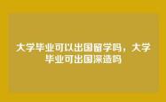 大学毕业可以出国留学吗，大学毕业可出国深造吗
