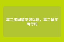 高二出国留学可以吗，高二留学可行吗