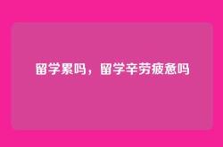 留学累吗，留学辛劳疲惫吗