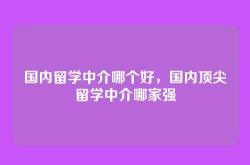 国内留学中介哪个好，国内顶尖留学中介哪家强