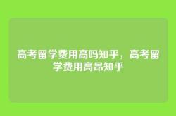高考留学费用高吗知乎，高考留学费用高昂知乎